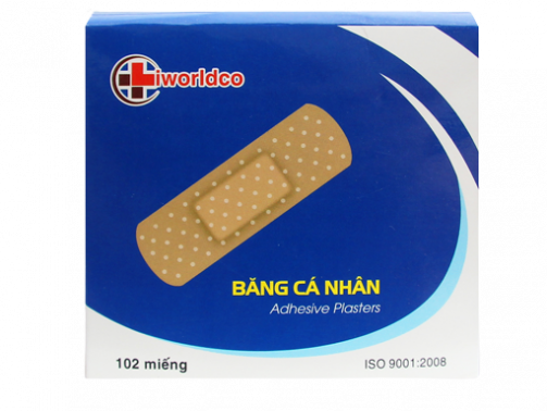 Bang-ca-nhan-1-removebg-preview